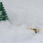 Never put off till tomorrow what you can do today.