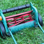 When we are motivated by wisdom and compassion, the results of our actions benefit everyone.