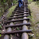 You cannot climb the ladder of success dressed in the costume of failure.