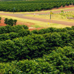 We have the ability and the responsibility to choose whether our actions follow a virtuous path or not.