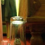 Common sense is not so common.