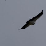 Being deeply loved by someone gives you strength, while loving someone deeply gives you courage.