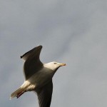 Argue for your limitations, and sure enough they’re yours.