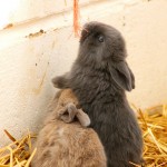 Stay committed to your decisions, but stay flexible in your approach