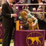 If you would judge, understand.