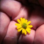 Whether or not we follow any particular spiritual tradition, the benefits of love and kindness are obvious to anyone