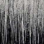 Perfection is not attainable, but if we chase perfection we can catch excellence