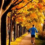 Someone’s sitting in the shade today because someone planted a tree a long time ago