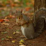 Keeping score of old scores and scars, getting even and one-upping, always makes you less than you are