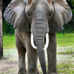 Age wrinkles the body. Quitting wrinkles the soul.