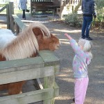 Where the willingness is great, the difficulties cannot be great