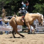 If we insist on being as sure as is conceivable… we must be content to creep along the ground, and never soar.