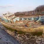 It is because of my wish to be helpful that I share my ideas and experiences; being helpful to even one person is valuable