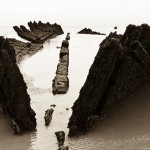 and this is a common failing of mankind, never to anticipate a storm when the sea is calm.