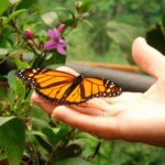 Happiness always looks small while you hold it in your hands, but let it go, and you learn at once how big and precious it is.