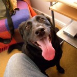 Of mankind we may say in general they are fickle, hypocritical, and greedy of gain.