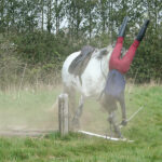 Freedom lies in being bold.