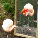 He who deliberates fully before taking a step will spend his entire life on one leg.