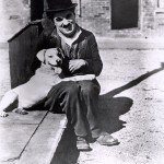 Life is a tragedy when seen in close-up, but a comedy in long-shot.