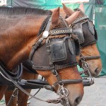 You simply have to put one foot in front of the other and keep going. Put blinders on and plow right ahead.