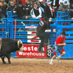 To succeed in life, you need three things: a wishbone, a backbone and a funny bone.