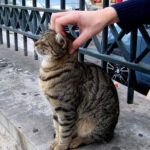 If you are not doing what you love, you are wasting your time.