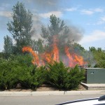 Fortune sides with him who dares.