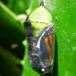 When I let go of what I am, I become what I might be.