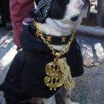 The ultimate source of happiness is not money and power, but warm-heartedness.