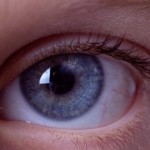 Intellect annuls fate. So far as a man thinks, he is free.