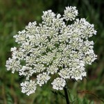 Being happy doesn’t mean that everything is perfect. It means that you’ve decided to look beyond the imperfections.