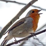 Many people die with their music still in them.