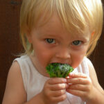 Who asks whether the enemy was defeated by strategy or valor?