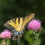 I have a new philosophy. I’m only going to dread one day at a time.