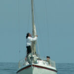 The pessimist complains about the wind. The optimist expects it to change. The leader adjusts the sails.