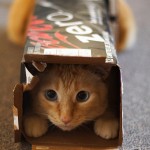 Be less curious about people and more curious about ideas.