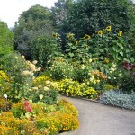 Keep love in your heart. A life without it is like a sunless garden when the flowers are dead.