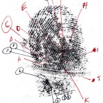 Values are like fingerprints. Nobody’s are the same, but you leave ’em all over everything you do.