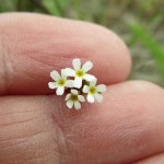 The bigger picture can’t be seen by those without vision.