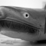 Fear is a disease that eats away at logic and makes man inhuman.