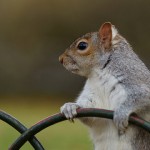 No evil propensity of the human heart is so powerful that it may not be subdued by discipline.