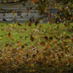 We need material development, but we need to understand that by itself it doesn’t bring peace of mind.