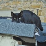 If you are honest, truthful, and transparent, people trust you. If people trust you, you have no grounds for fear, suspicion or jealousy.