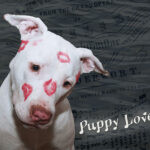 Just think of the tragedy of teaching children not to doubt.