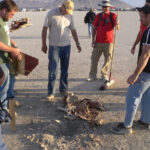 Failure can be the key to Success… if you learn from it!