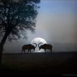 That which you resist, stays.