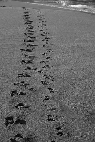 You Can T Make Footprints On The Sands Of Time By Sitting On Your Butt And Who Wants To Make Butt Prints Philosiblog