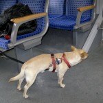 Absence sharpens love, presence strengthens it.