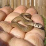 To keep oneself safe does not mean to bury oneself.