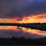 Gratitude is heaven itself.